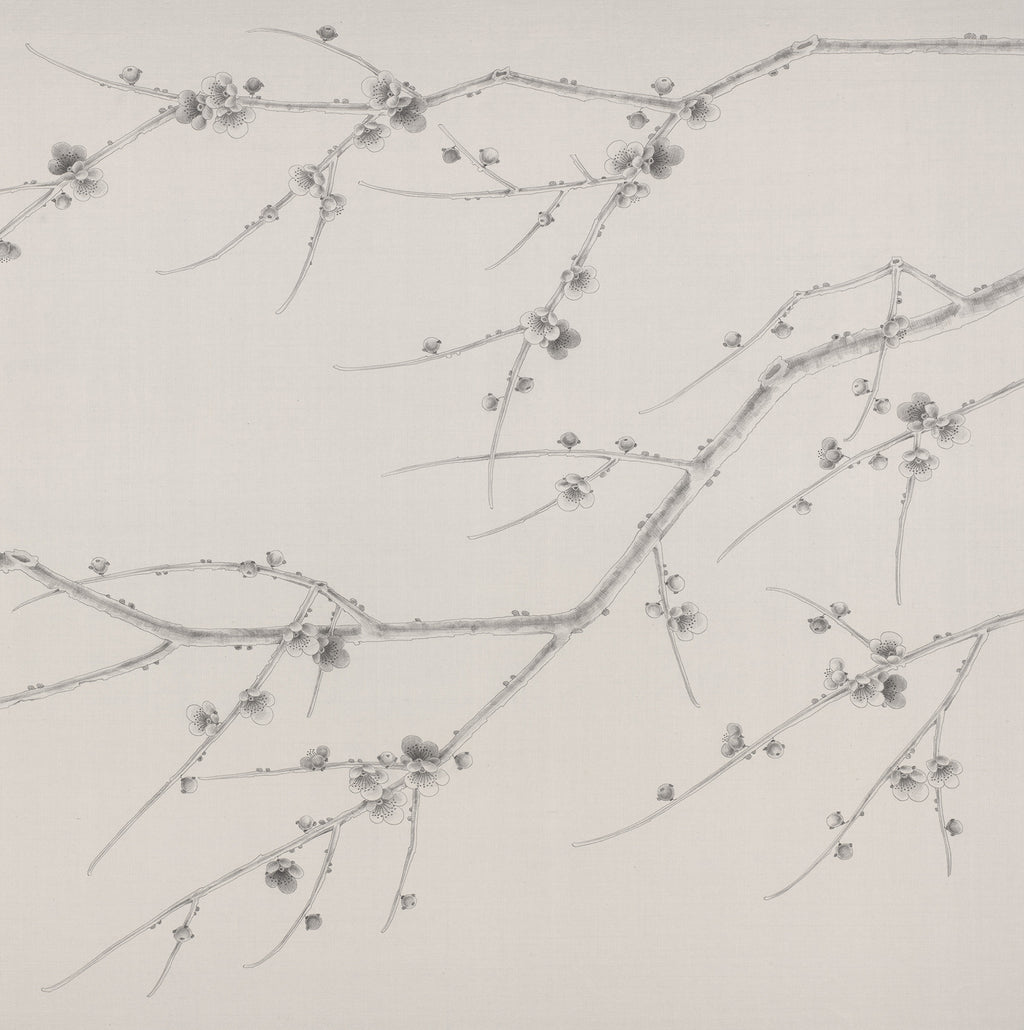 Prunus in Etching (Pencil)