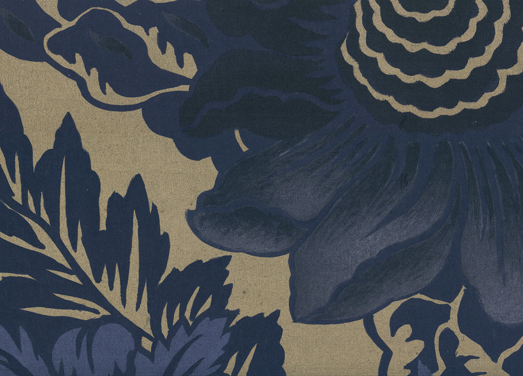 Broadlands in Starry Night