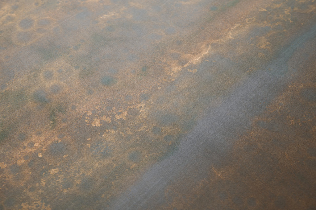 Saltwood in Brackish