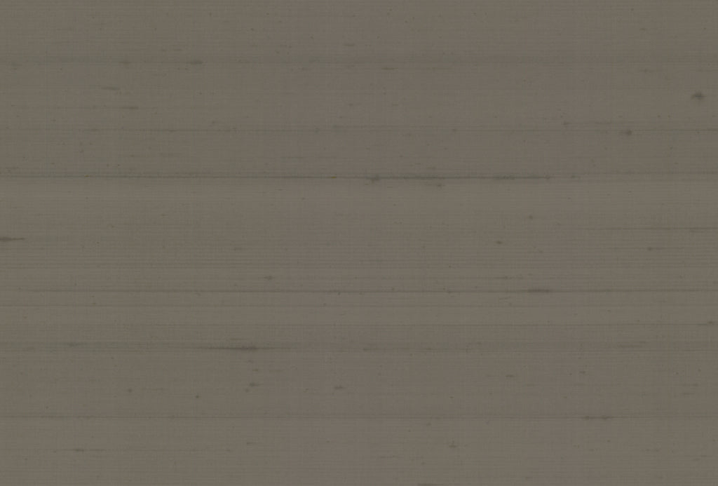 Dupion Silk in Silver Lichen