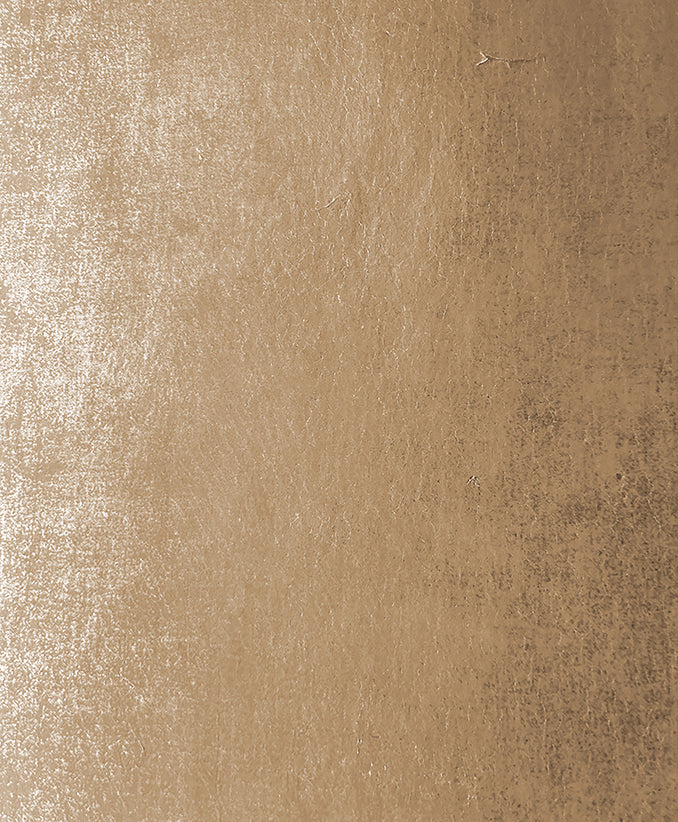 Metal Paper in Pavlova