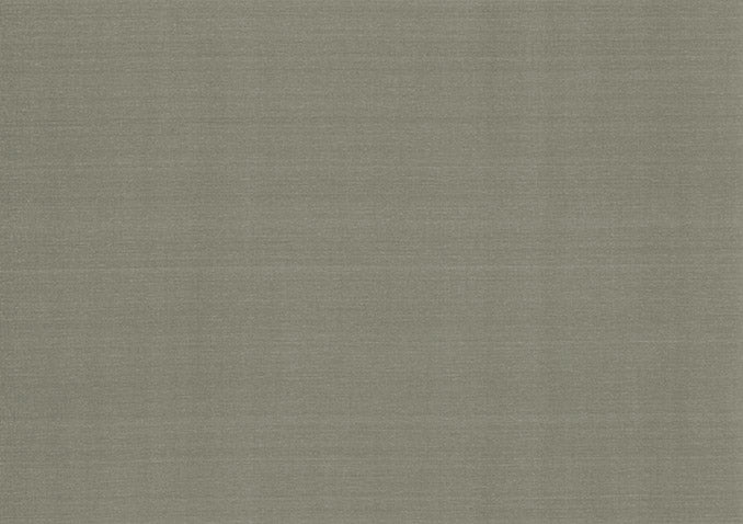 Plain Silk in Elephant