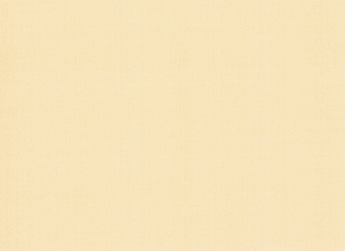 Plain Silk in Manilla