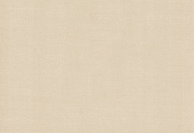 Plain Silk in Pebble