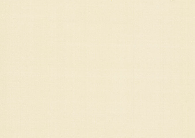 Plain Silk in Platinum